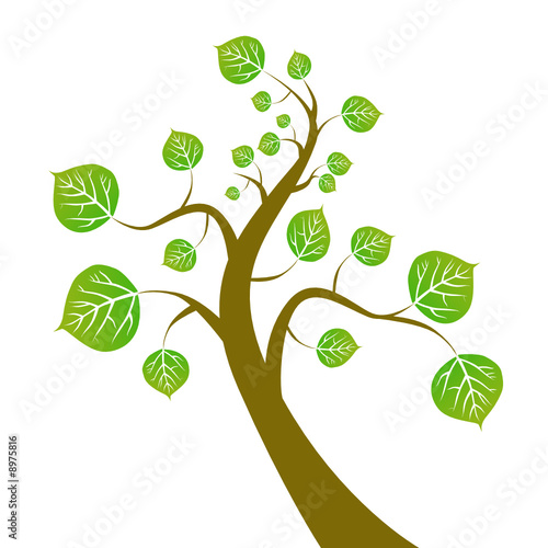 tree vector tree vector