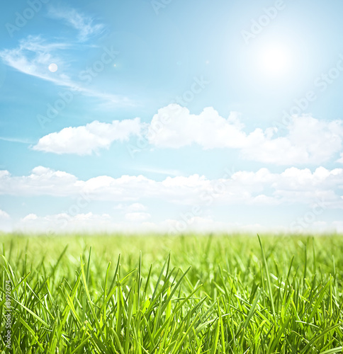 Photo: sky and grass sky and grass