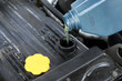 adding oil
