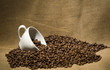 Coffee tree, plant