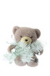 Teddy Bear with Tinsels on White Background