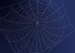 Spideweb illustration