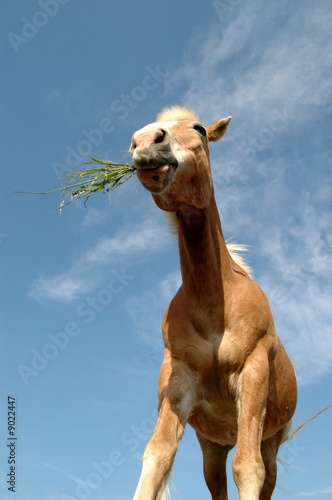 Foto: Schmecken Schmecken