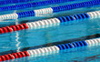 Swimming pool lanes in competition pool Swimming pool lanes in competition pool