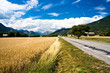 Champ de blé et route dans les Hautes-Alpes Champ de blé et route dans les Hautes-Alpes