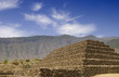 Ancient remains