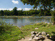 Plage sur la rivière