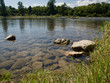 Rochers et fond transparent de la rivière