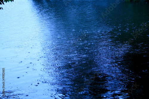 雨