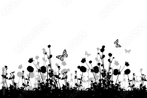Wiese mit Blüten und Schmetterlingen