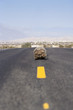 Photo: Turtle walking in middle of remote highway Turtle walking in middle of remote highway