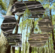 Recycling sign in forest