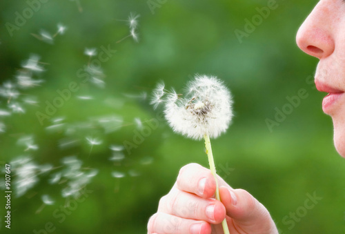 Foto: Dandelion Blower Dandelion Blower