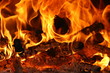 Feu Fire Flammes Flames Chaleur Heat