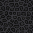 Panther Texture Panther Texture