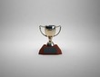 First Place ambition, People With Trophy