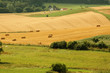 Bales  of straw on the hilly fields.