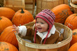 Baby in a Pumpkin Patch