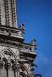 Gargoyle on Notre Dame