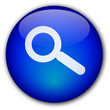 Bouton "Recherche"