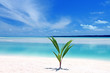 Aitutaki lagoon, Cook Islands