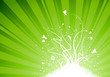 Light burst background with grass and floral plant abstract