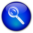 Bouton "Recherche"