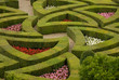 Les buis taillés du château de Villandry Les buis taillés du château de Villandry