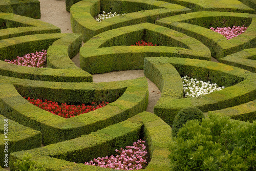 Les buis taillés du château de Villandry