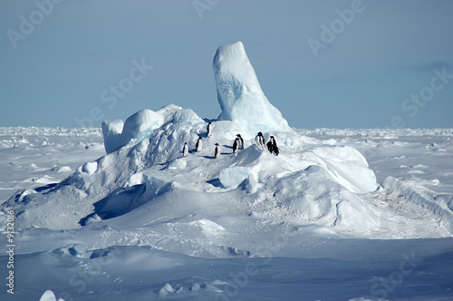Photo: Penguin group in Antarctic pack ice scenery Penguin group in Antarctic pack ice scenery