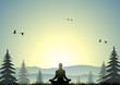 A woman doing yoga in a meadow at sunset