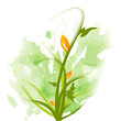 decorative floral background