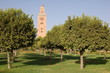 Verger et la Koutoubia ; Marrakech ; Maroc