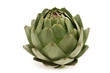 fresh artichoke on white background