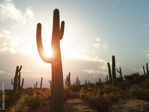 Illustration: An illustration of a desert with cactus in Arizona An illustration of a desert with cactus in Arizona
