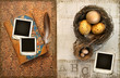 Old books with bird nests on grunge background