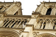 Detail of Notre Damme / Paris
