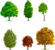 arbres arbres