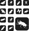Set buttons. Insects