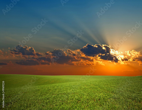 An image of sunrise and green field