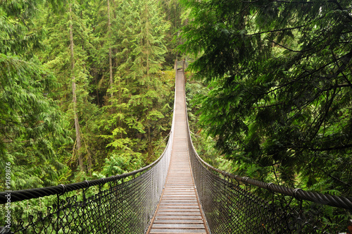 lynn valley suspension bridge