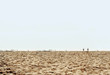 Strand Strand