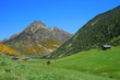 Vall d'Incles landscape with Alt de Juclar peak in background.