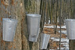 Spring, maple syrup season.