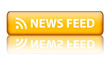 "News Feed" button
