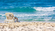 Woman sunbathing in a plastic chair on a beautiful beach in Cuba