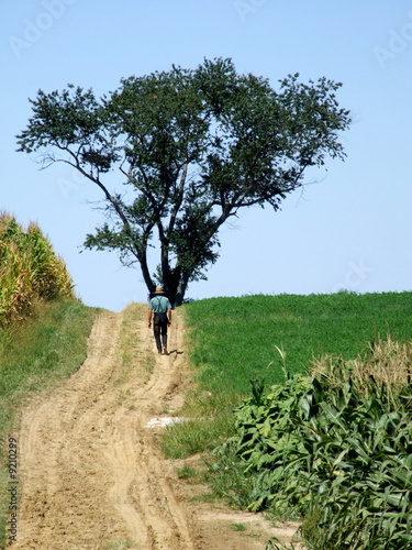 Photo: Road less taken Road less taken