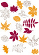 Vektor: Herbstlaub als Silhouette und Kontur einfach editierbar Herbstlaub als Silhouette und Kontur einfach editierbar