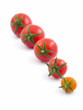 Mini Tomato