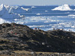 Fjord mit Eisbergen Fjord mit Eisbergen